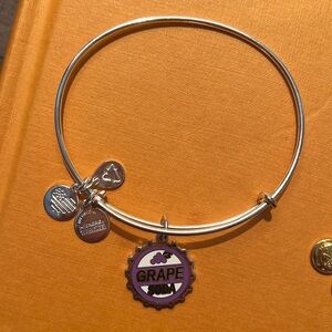 Disney Up Alex and Ani
